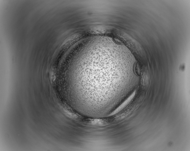 X0000098170091200805081011