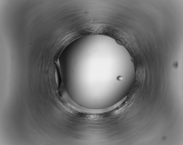 X0000098170092200805081011