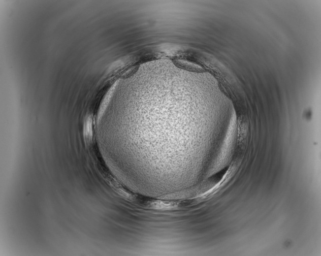 X0000098170094200805081011