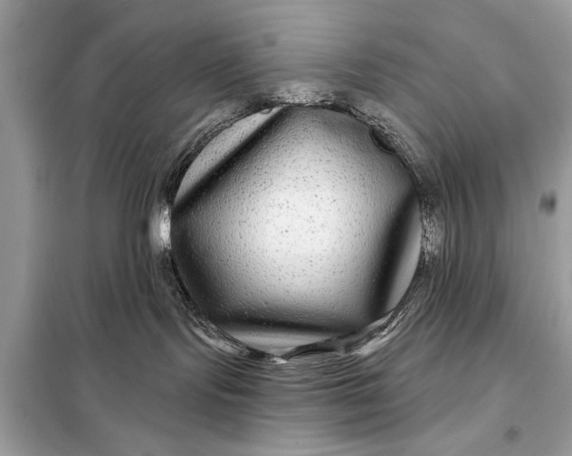 X0000098170095200805081011