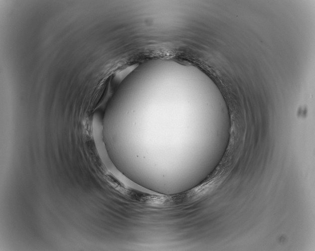 X0000098170096200805081011