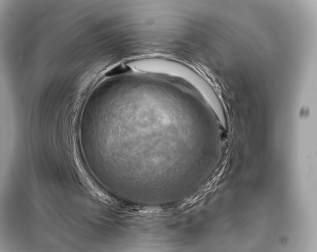 X0000098170097200805081010