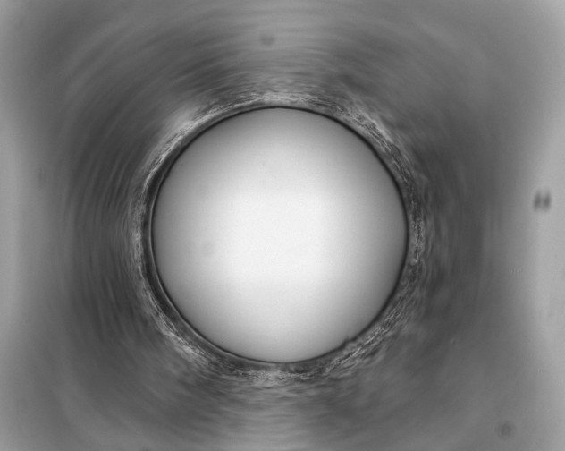 X0000098170098200805081010