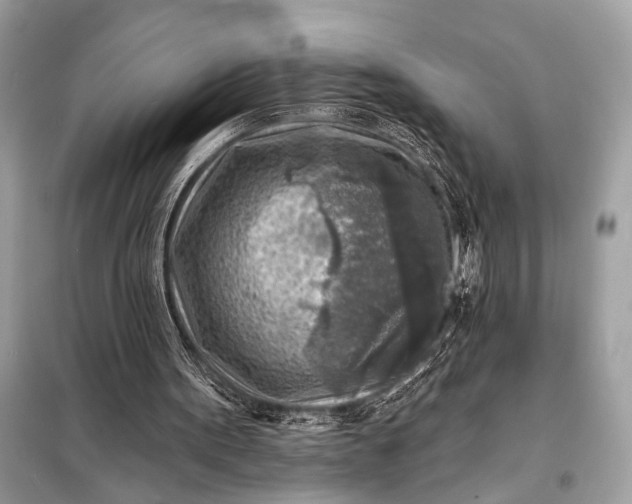 X0000098170099200805081010