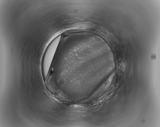 X0000098170100200805081010