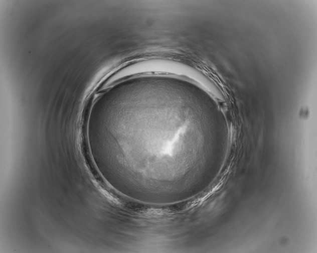 X0000098170101200805081010