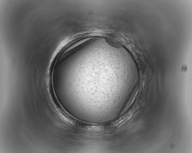 X0000098170102200805081010