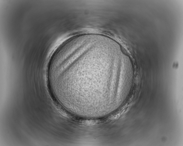 X0000098170103200805081010