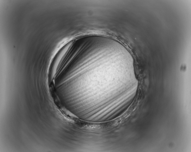 X0000098170104200805081010