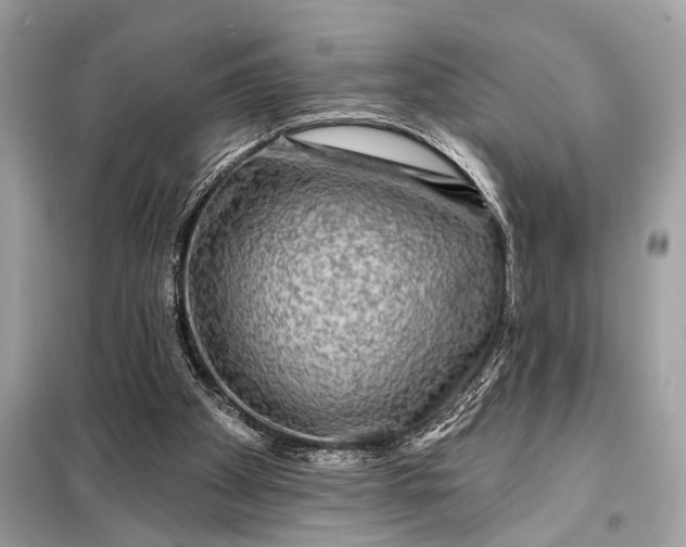 X0000098170105200805081010