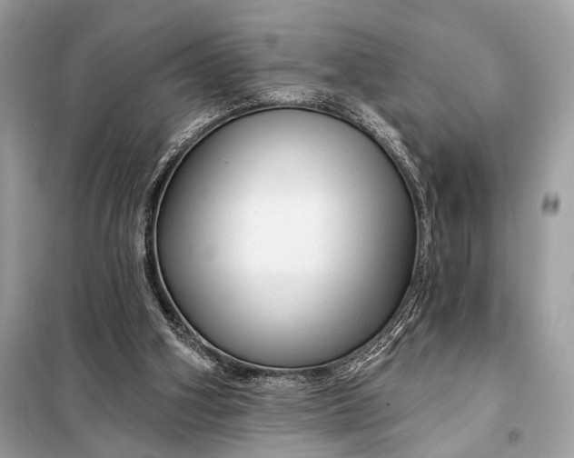 X0000098170106200805081010