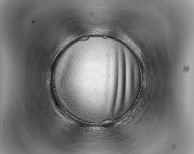 X0000098170107200805081010