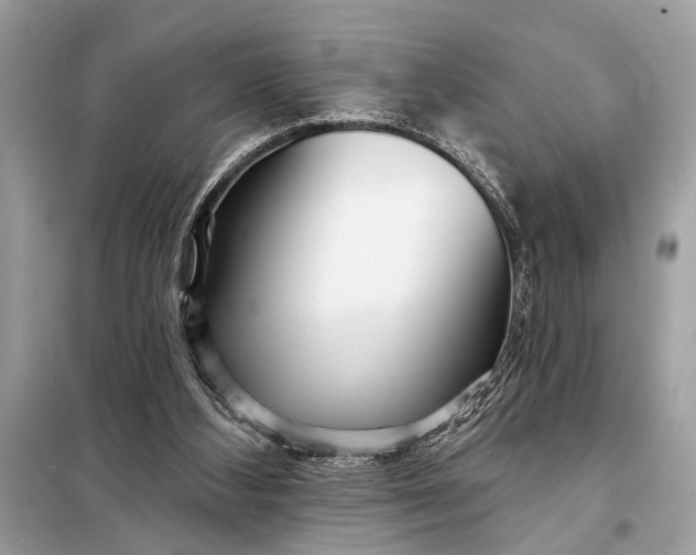 X0000098170108200805081010