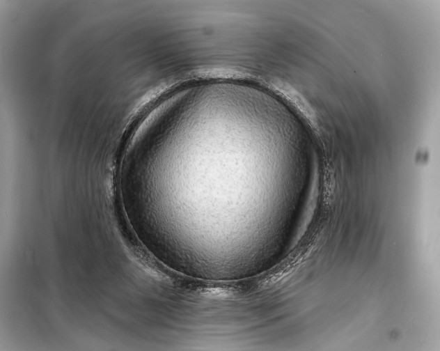 X0000098170111200805081010