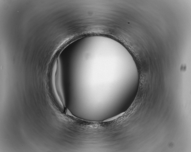 X0000098170112200805081010