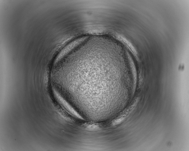 X0000098170113200805081010