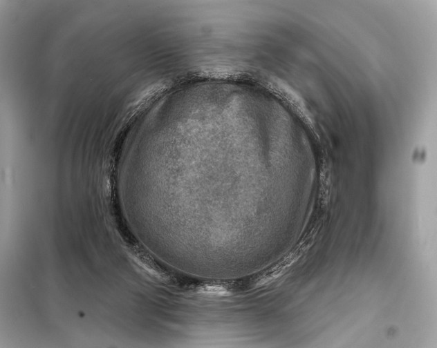 X0000098170114200805081010