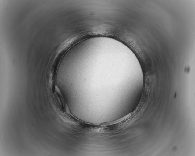 X0000098170116200805081010