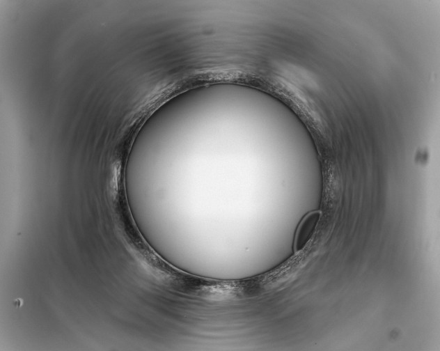 X0000098170118200805081010