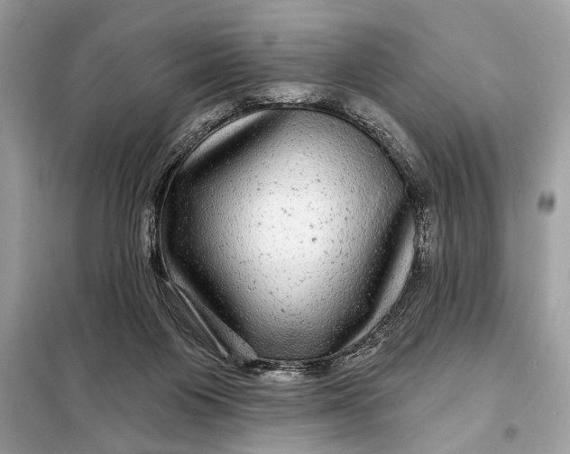 X0000098170119200805081010