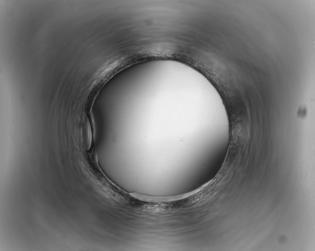 X0000098170120200805081010