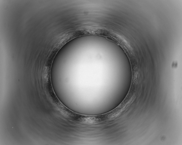 X0000098170121200805081010