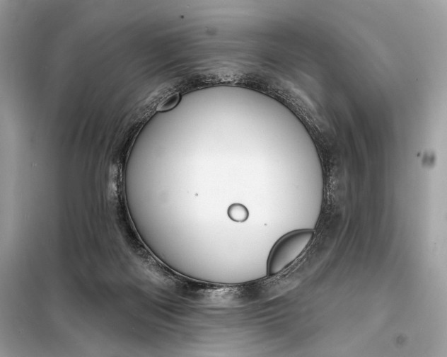 X0000098170122200805081010