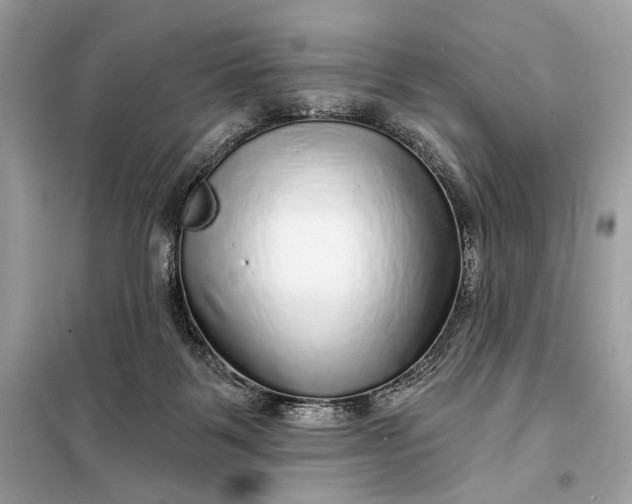 X0000098170123200805081010