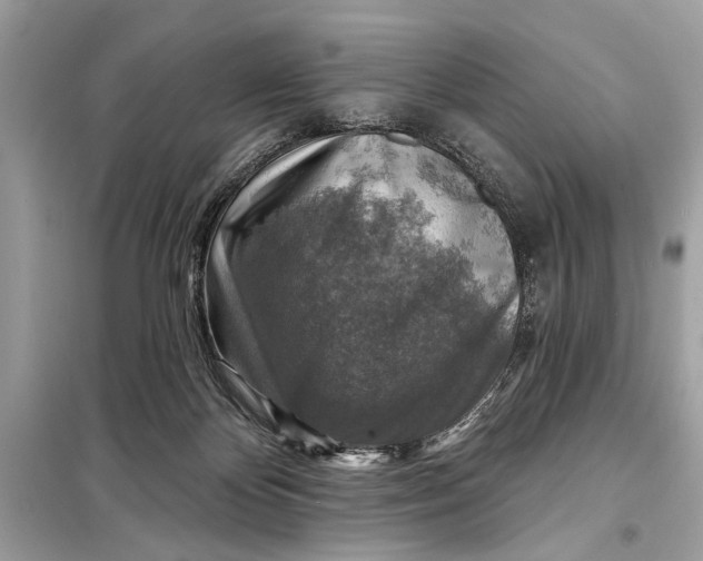 X0000098170124200805081010