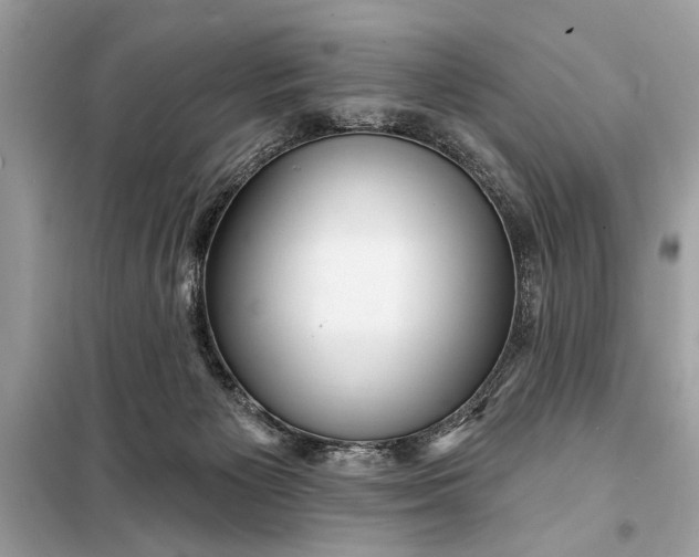 X0000098170125200805081010