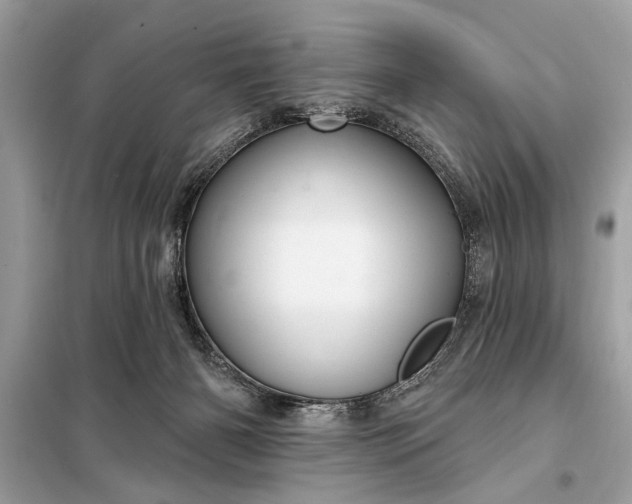 X0000098170126200805081010