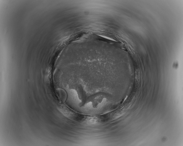 X0000098170127200805081010