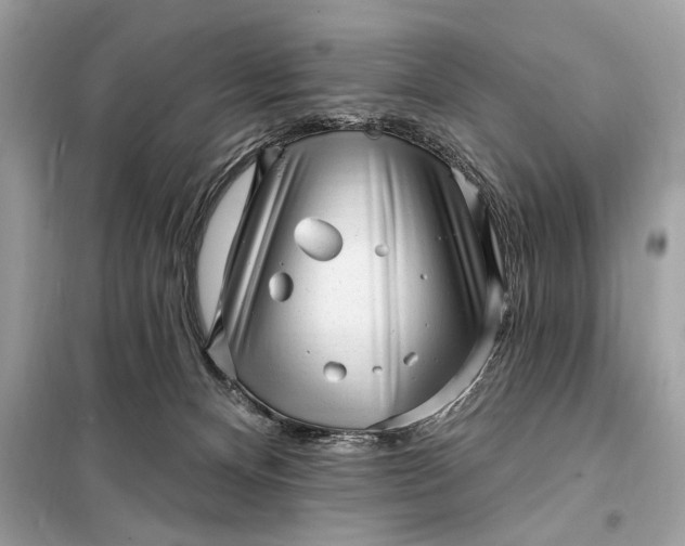 X0000098170128200805081010