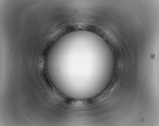 X0000098170129200805081010