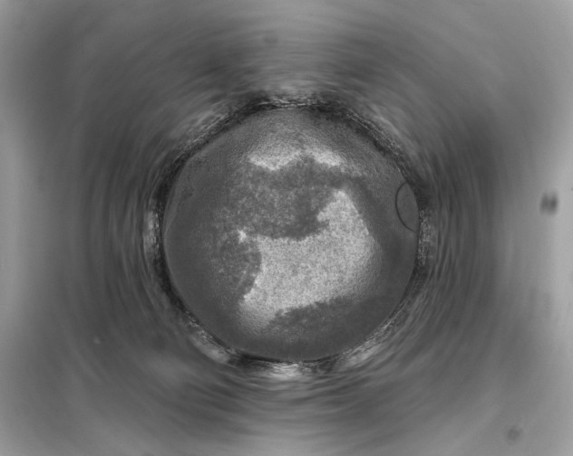 X0000098170130200805081010