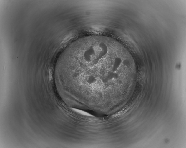 X0000098170131200805081010