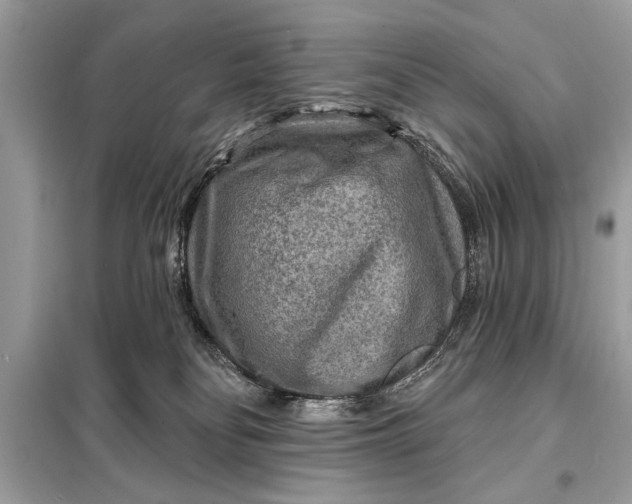 X0000098170134200805081010