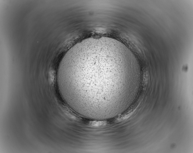 X0000098170135200805081010