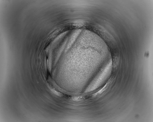 X0000098170136200805081010