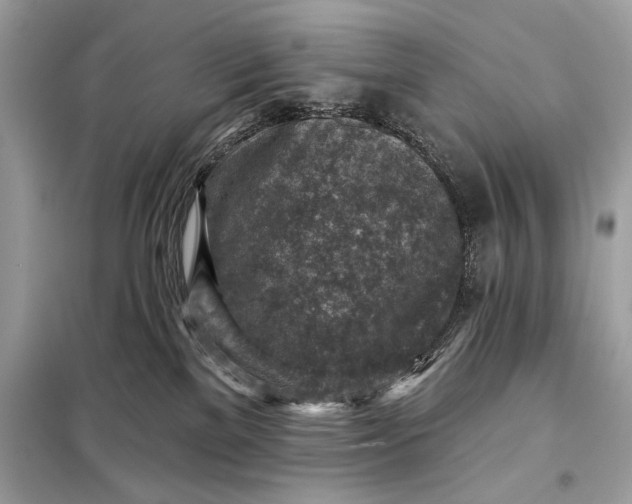 X0000098170137200805081010