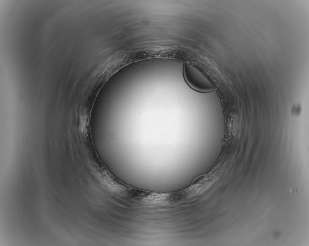 X0000098170138200805081010