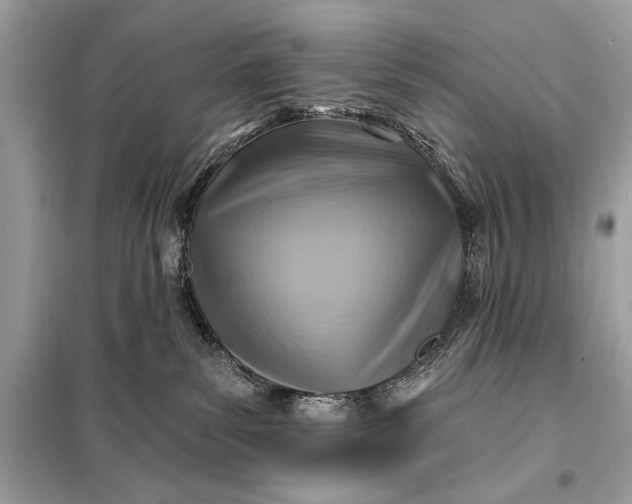 X0000098170139200805081010