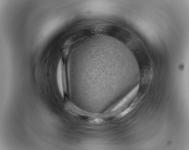 X0000098170140200805081010