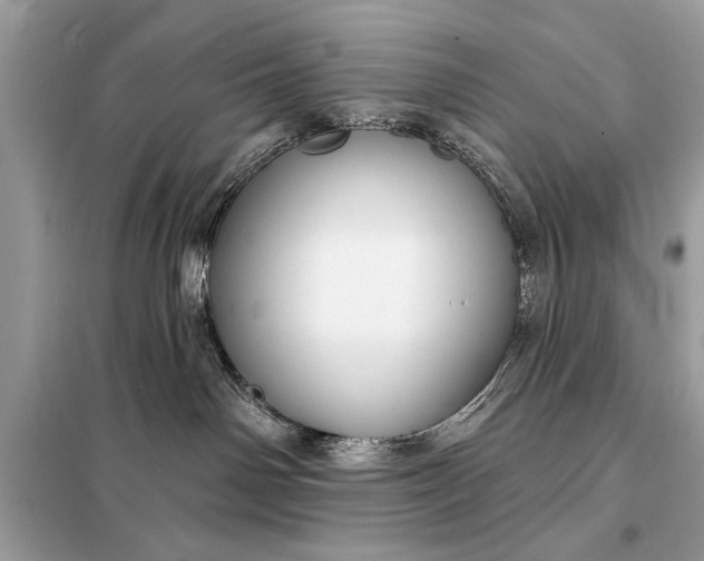 X0000098170142200805081010