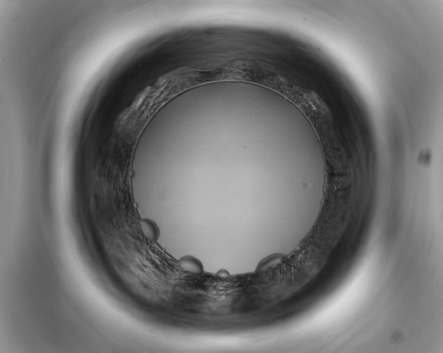 X0000098170143200805081010