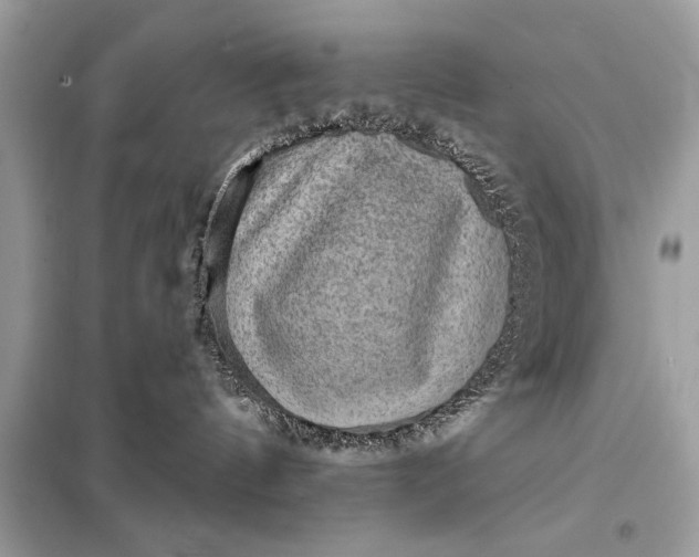 X0000098170144200805081010