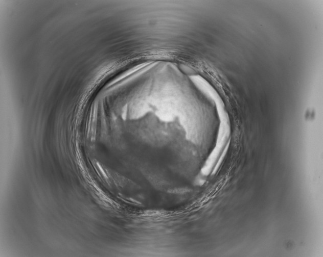 X0000098170145200805081009