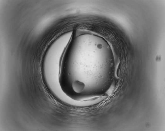 X0000098170146200805081009