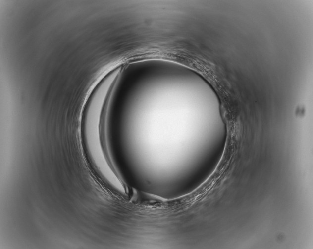 X0000098170148200805081009