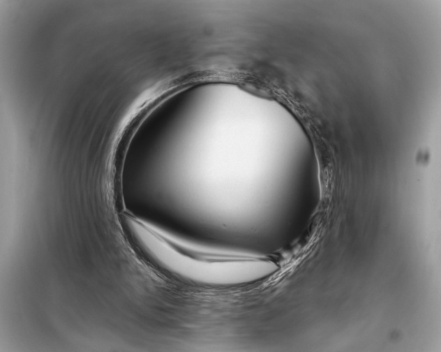 X0000098170150200805081009